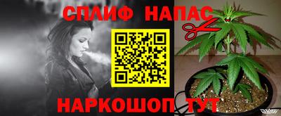 индика Азнакаево