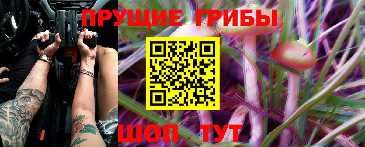 Галлюциногенные грибы прущие грибы Алейск