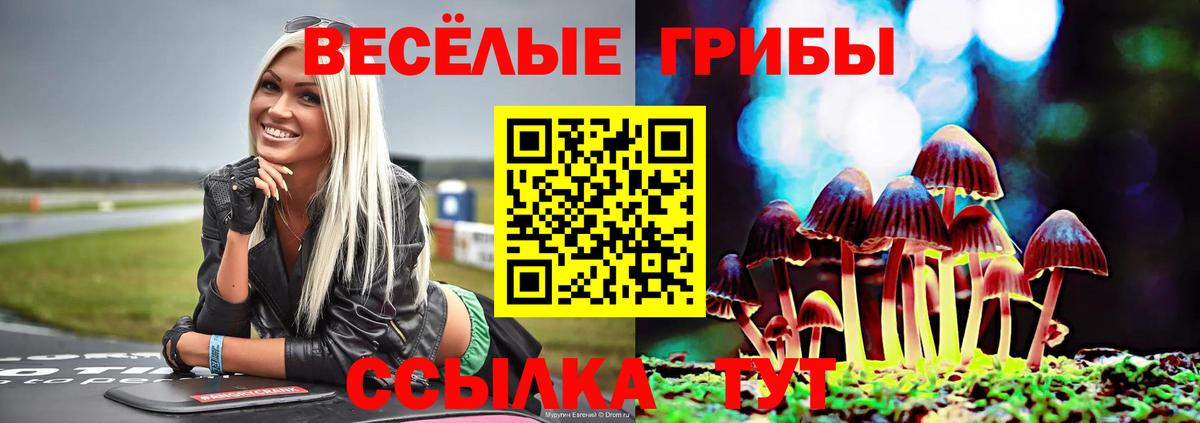 Галлюциногенные грибы Cubensis  Вход с VPN  Алейск 